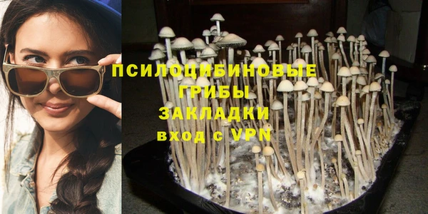 спиды Арсеньев